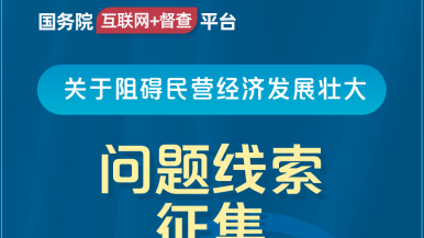 jj插BB在线观看国务院“互联网+督查”平台公开征集阻碍民营经济发展壮大问题线索